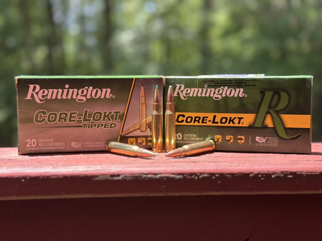 308 cartridges