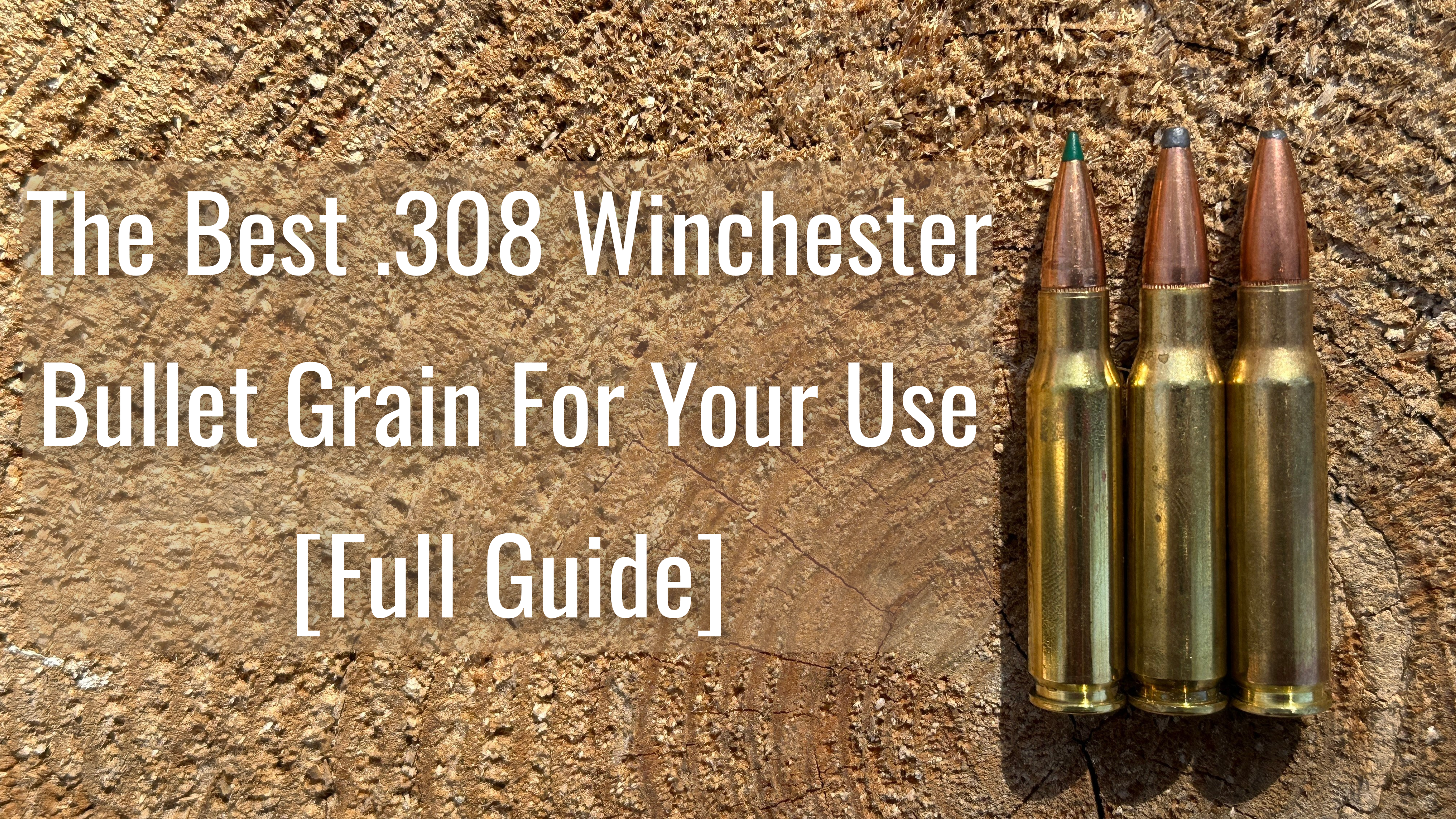 308 cartridges on a stump for the hero image