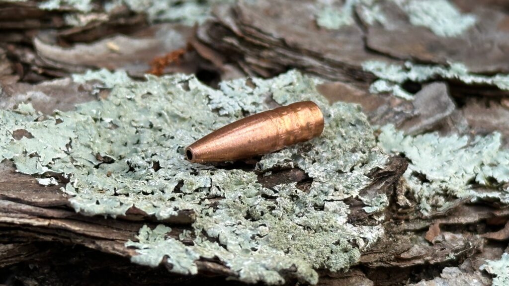 556 copper monolith on tree bark moss