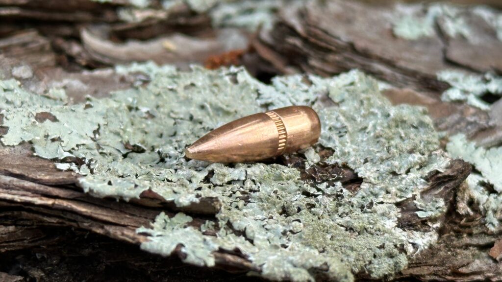 556 FMJ on tree bark moss