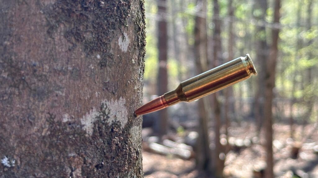 6.5 Creedmoor stuck in a tree