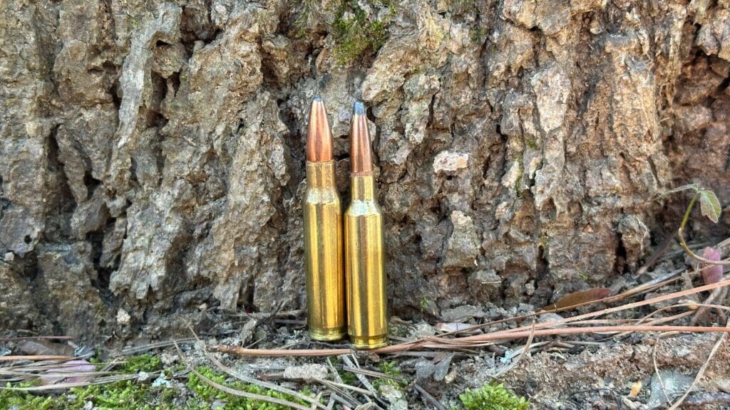 6.5 Creedmoor and 308 Winchester side by side against a tree