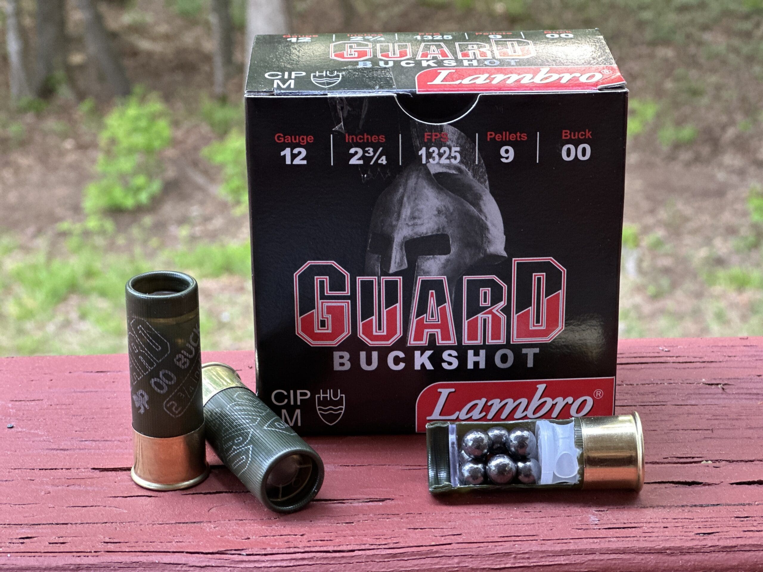 Lambro Guard 12 gauge buckshot shells for home defense